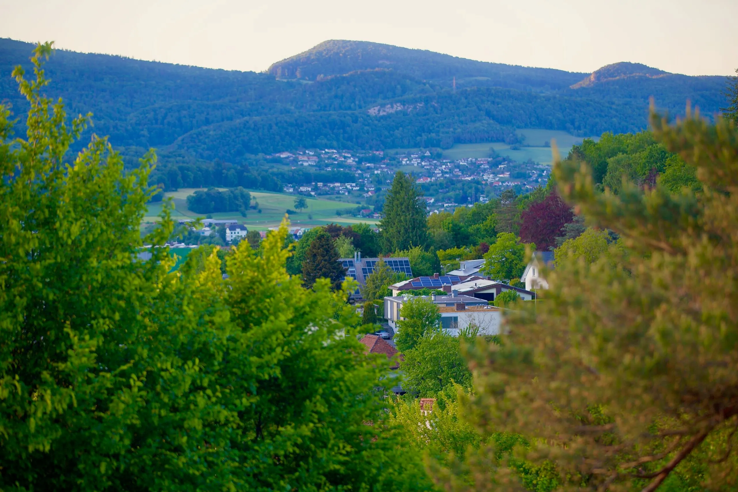 Blick über Starrkirch-Wil mit Solardächern, im Hintergrund der Jura